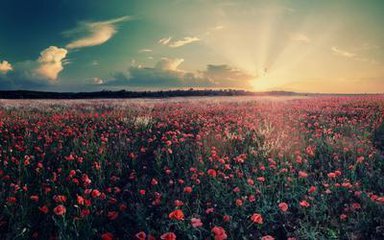 �x��y���C(j��)��Ҫ��ʲô