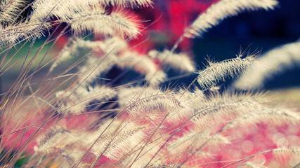 �������ڸ��N�h(hu��n)�������ӷ��o(h��)